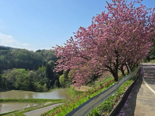 のどかな山村に美しい景色が広がっています