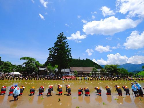 御田祭（田植えをする早乙女達）
