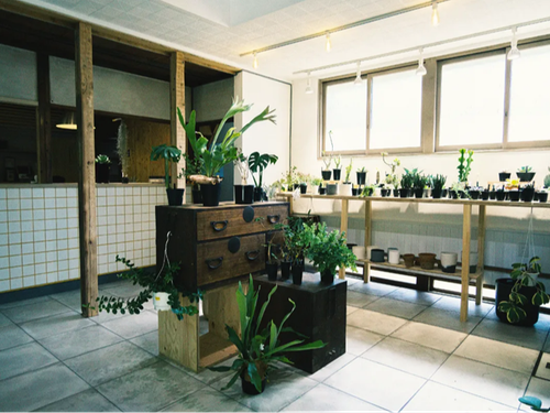古民家をDIYをした店