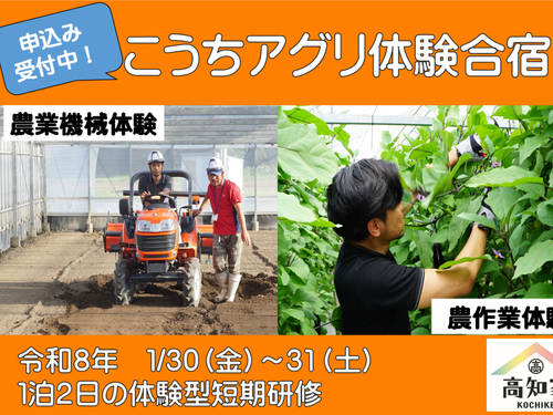 短期農業体験合宿もオススメです