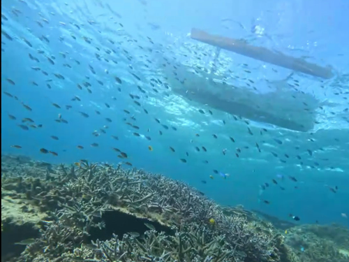 シュノーケルの海中からサバニを見上げる