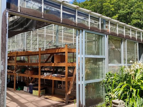 活動場所の１つとして想定している池の窪グリーンパークの温室