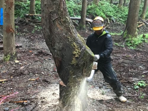 現場作業員の仕事／これぞ林業！という醍醐味を味わえます！