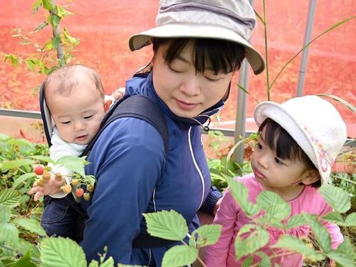 ゲスト：稲福由梨さん