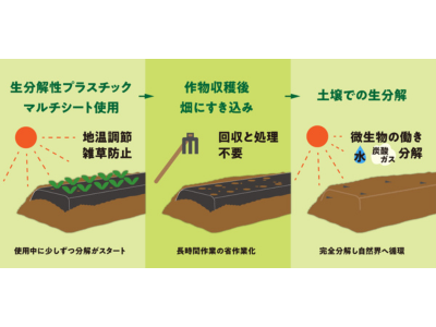 生分解性シートが土に還るプロセス