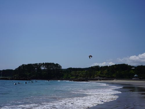 サーファーで賑わう種市海浜公園