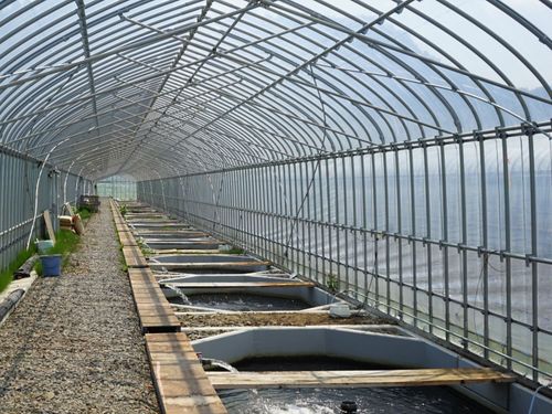 飼育施設（屋外水槽）