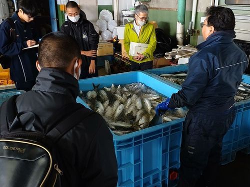 農業・漁業が主要な産業