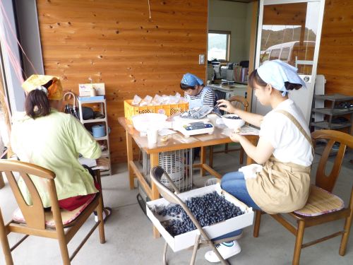 矢祭産の果物を生かした商品開発を進めています 