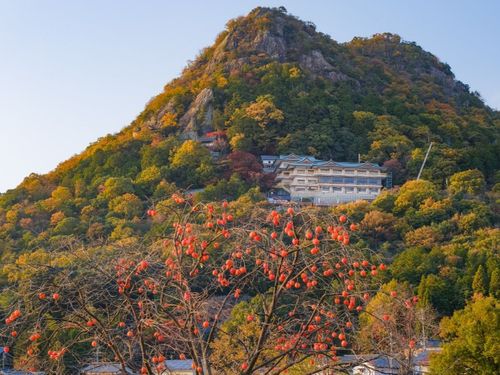 太郎坊の秋