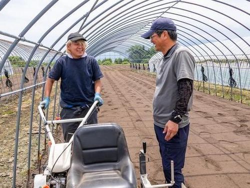 農作業は主に、ニラ、トマト、ほうれん草です。農業機械を使うことも。