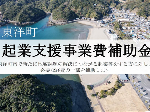 東洋町