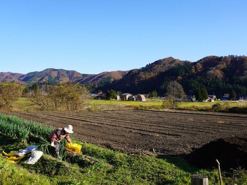 ワークの合間に、農家民宿から見える景色でリフレッシュ