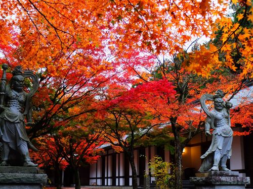 篠栗四国八十八ヶ所霊場の札所では、季節のご褒美もお出迎え
