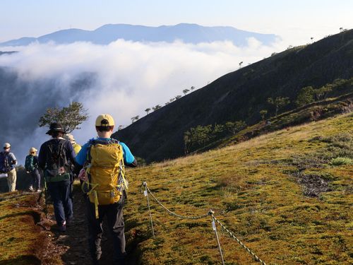 竜ヶ岳の登山道
