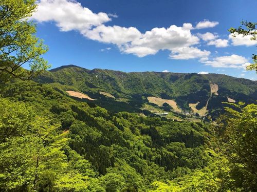 氷ノ山
