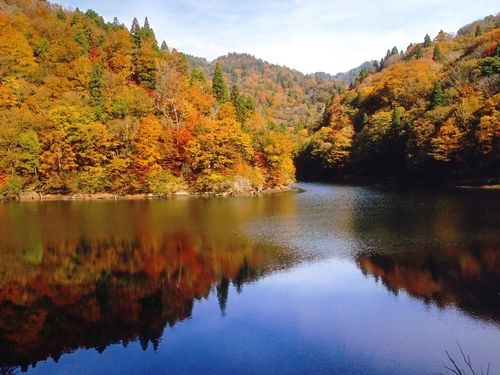 三滝ダム（智頭町芦津）周辺の紅葉