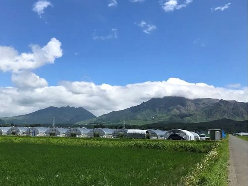 農園から見える風景