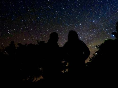 我が家の庭から見える星空。何度見ても感動します。