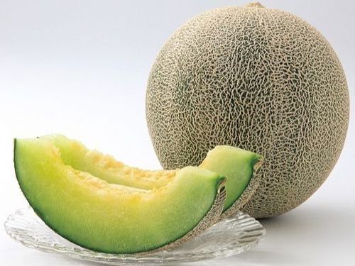 草津メロン