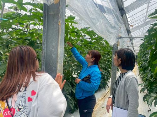 新規就農希望者に向けた、パッションフルーツ農家の圃場見学の様子