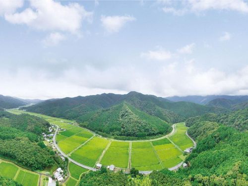 村の田園風景