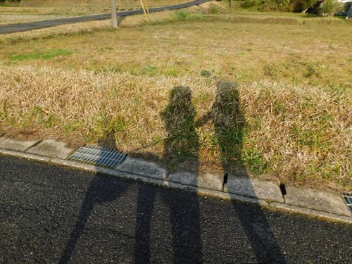 フリーランスで翻訳の仕事をする安達さん。夫婦で犬の散歩が日課。