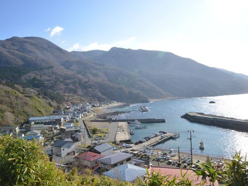 沿岸部風景