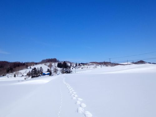 畑が眠る冬、私たちも長期休暇です