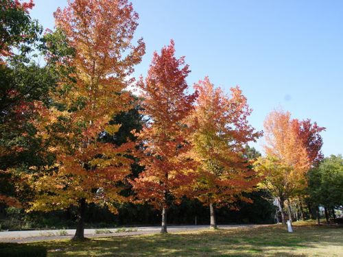木々に囲まれた自然溢れる場所にある県内最大級の陶芸施設。街からのアクセスも◎