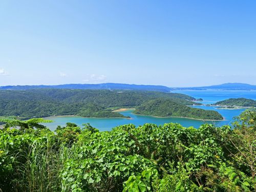 大宜味村