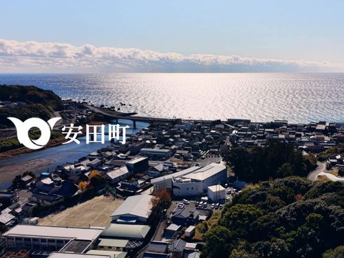 太平洋を望む