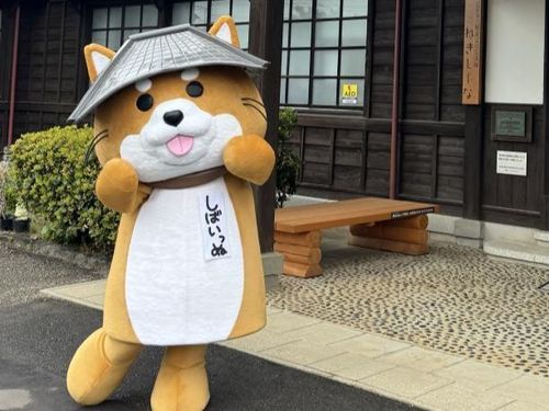 しばいっぬ