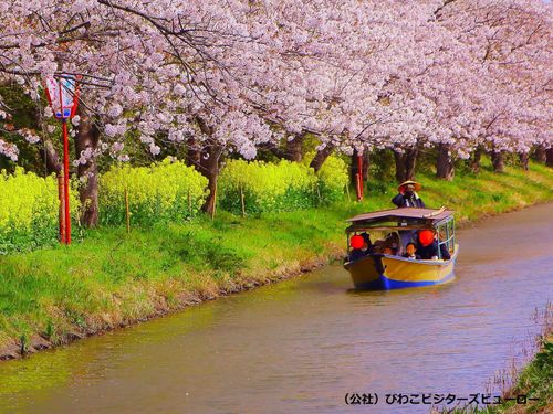 滋賀県の”春”((公社)びわこビジターズビューロー)