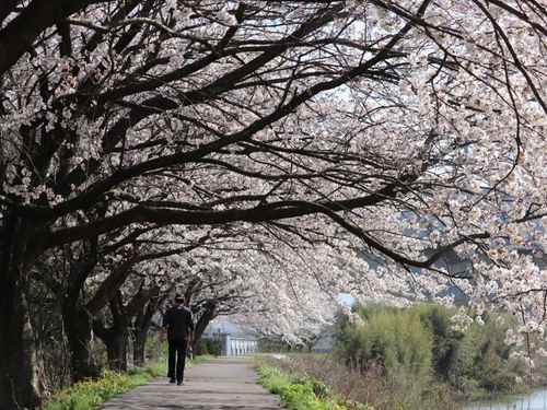 熊坂川