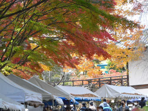 11月には陶器市が開催されます!