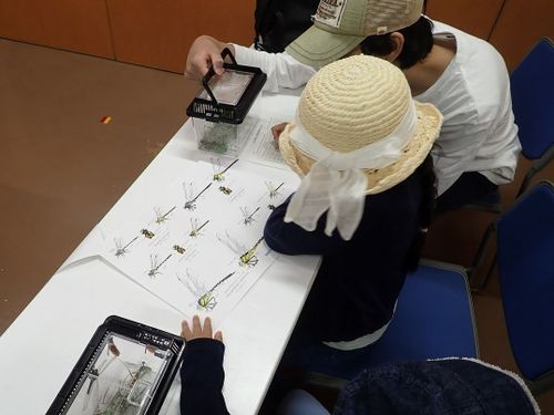 伊勢自然の里