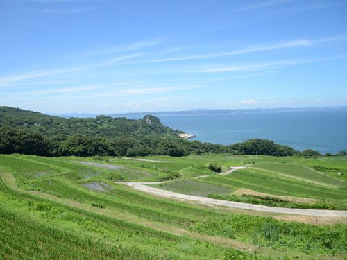 美しい棚田の風景