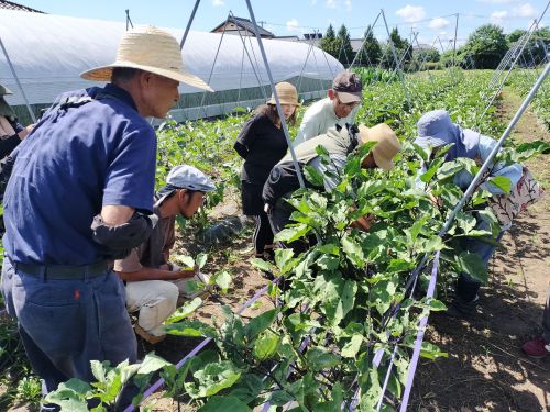 JA水戸有機農業研究会の活動