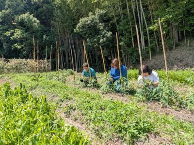 自然農園