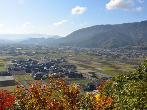 きれいな紅葉に癒されるー。（琴平町）