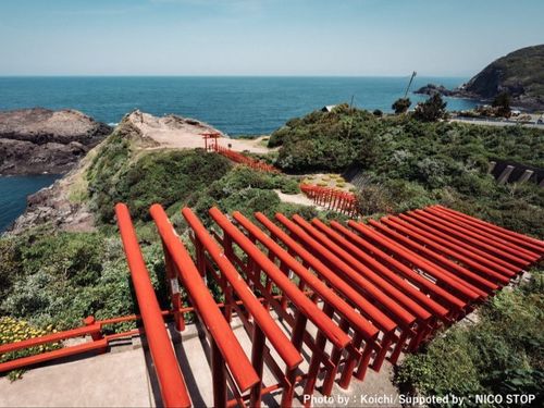 県内屈指の絶景スポットとして人気がある元乃隅神社(もとのすみじんじゃ)