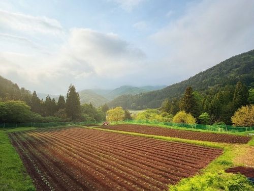 宿泊先の近くにある弊社の畑