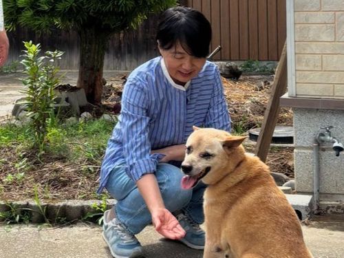 沖縄から移住した松本夫妻の愛犬セン。南島原に慣れてきたかな。