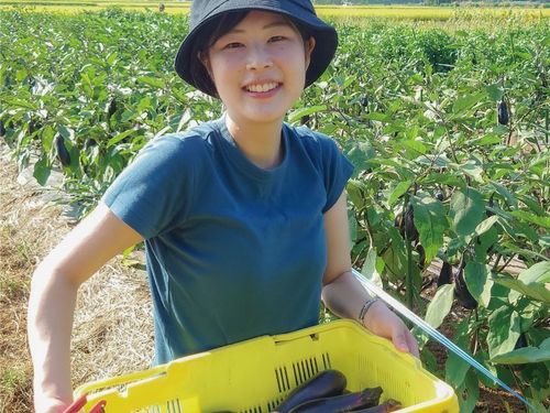 農作業を手伝いながら農家さんとの会話が弾みます