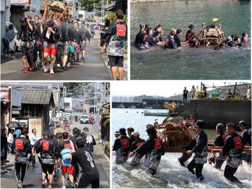 漁師のお祭りなので神輿も海に入ります。