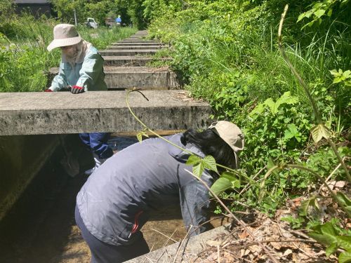 水路の砂利をスコップで取っていきます