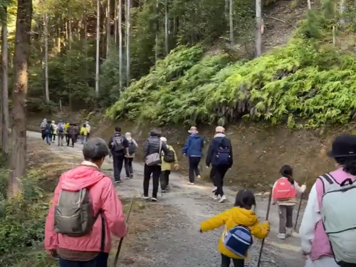 歩きやすい山道をみんなで歩きます