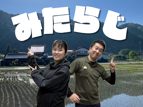 新しい
