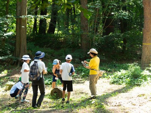 伊那西小学校は8/29に見学できます!校庭にいくよりも近い学校林です🌲